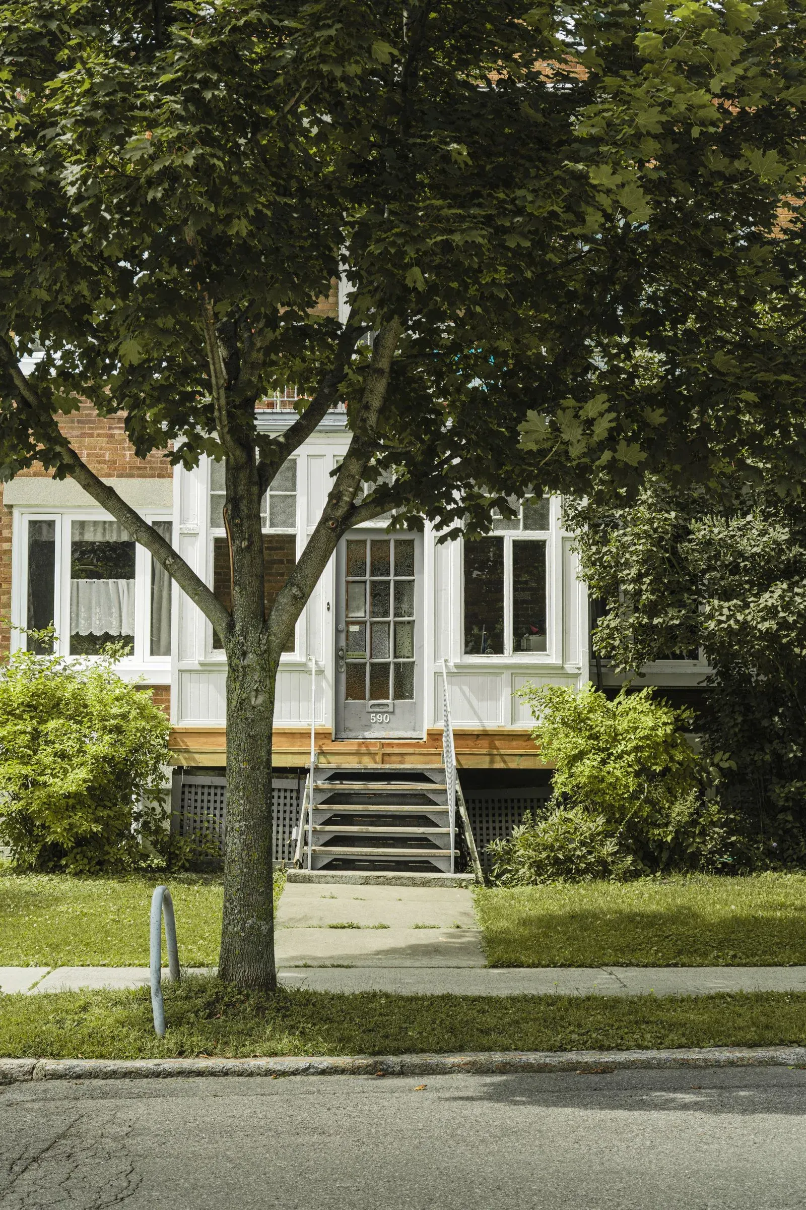 Tree-lined residential street with older character homes on the Halifax peninsula